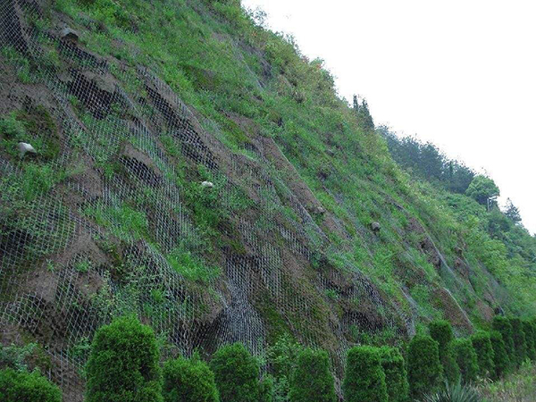 綠化勾花圍欄網